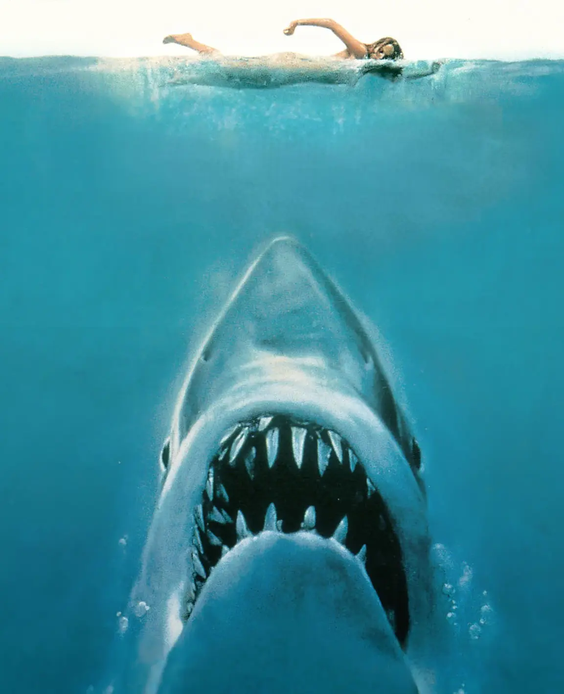 Illustration of a massive shark swimming upwards underwater toward a person swimming on the surface of the water at the top of the frame (detail from the poster for the move Jaws)